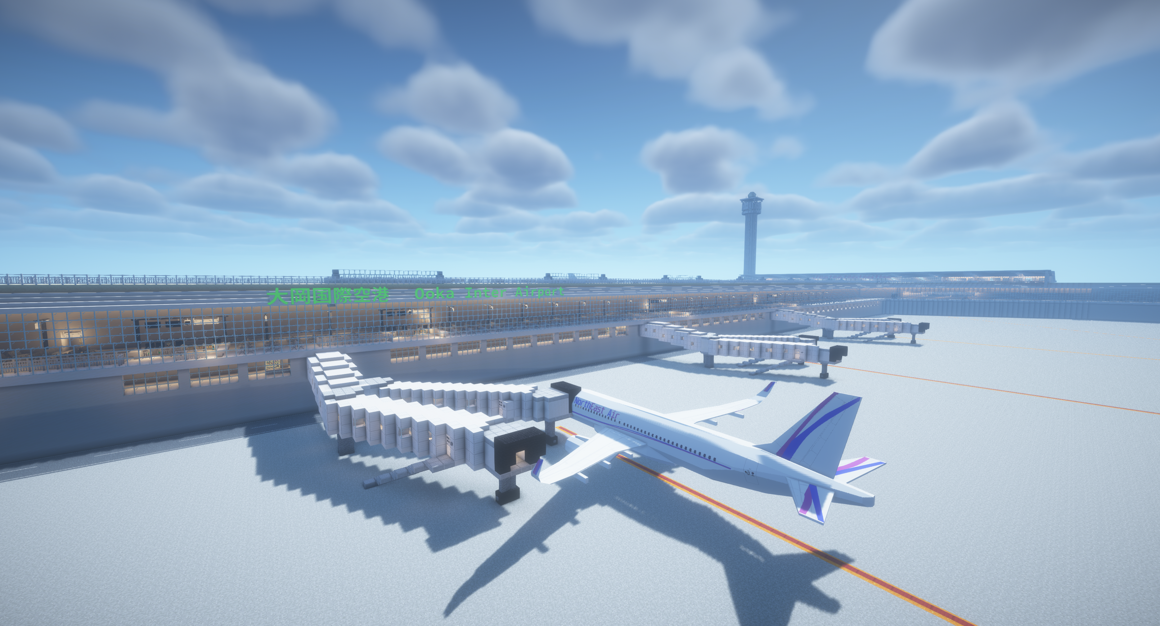 大岡国際空港 (Ooka Inter Airport)